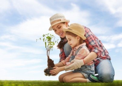 Loisirs Distribution gratuite plants d arbres