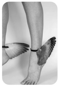 Expositions FAITH MORE