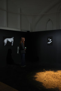 Expositions Exposition la saison