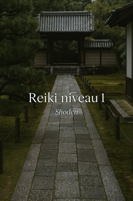 Stages,cours Formation Reiki Niveau Shoden