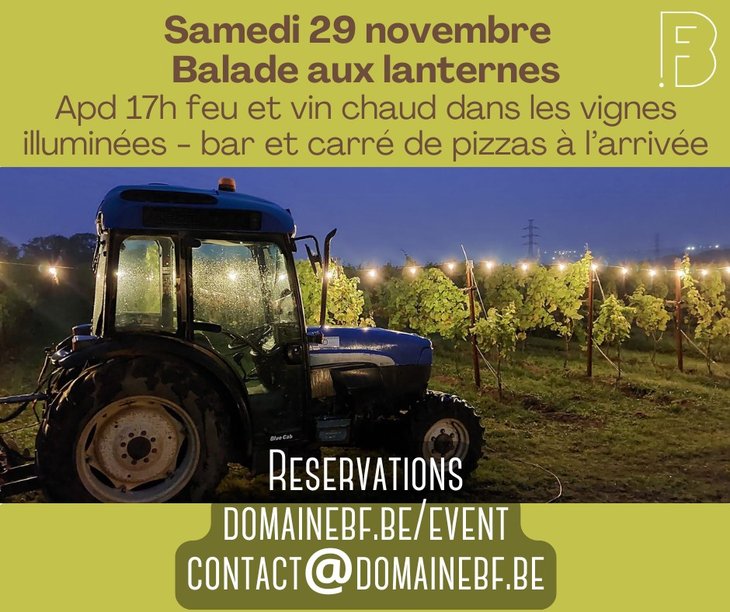 Loisirs Balade lanternes dans vignes illuminées Beaufays