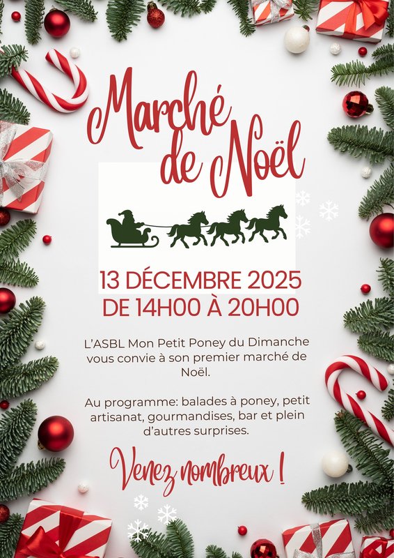 Marchés de Noël Premier Marché Noël l ASBL