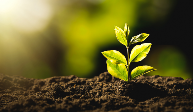 Loisirs Journée l arbre de biodiversité à