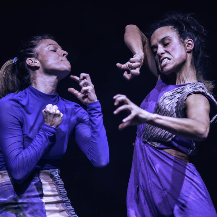 Spectacles Habemus Naufragium - Silvia Pezzarossi Charleroi