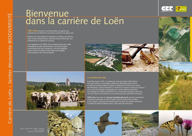 Loisirs Journée Gestion Dans carrière 4600  Loën Heidelberg ( Cbr )