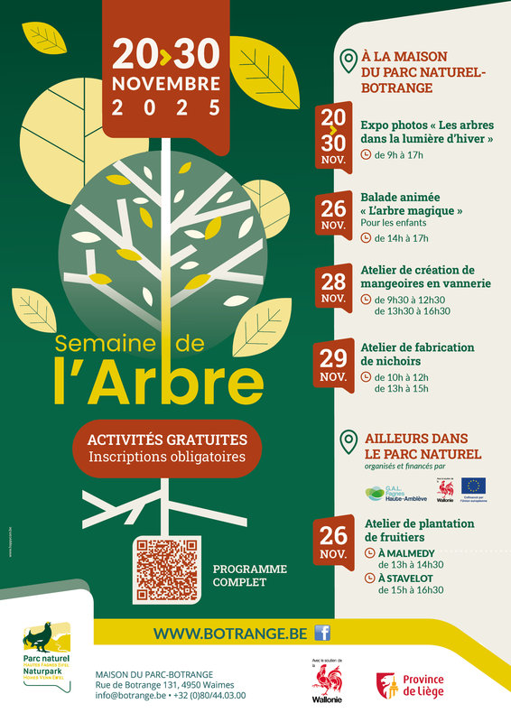 Stages,cours Balade animée: L arbre magique