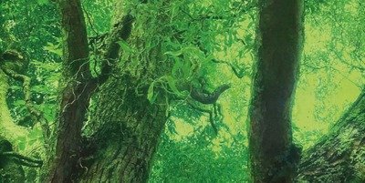 Expositions Autour Twist Djos Janssens