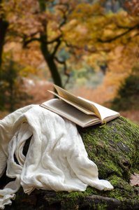 Stages,cours Sieste littéraire : relaxez-vous