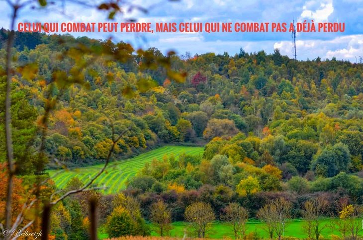 Loisirs Balade-nature les hauteurs Durbuy-Bohon