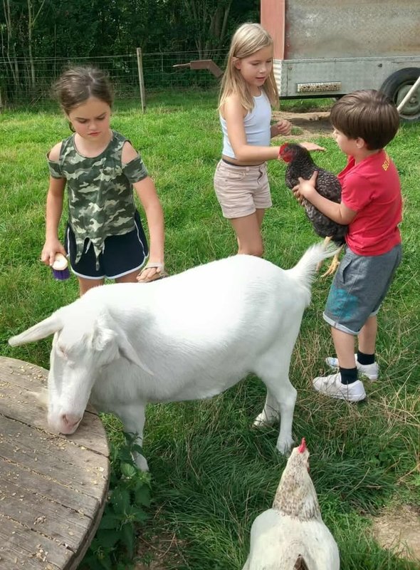 Stages,cours Non déso ! J ai Zo oborne...