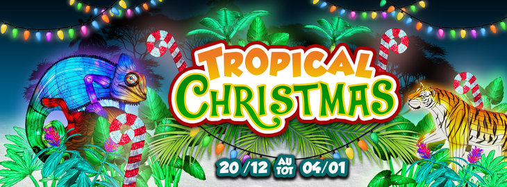 Loisirs Jungle City Tropical Christmas