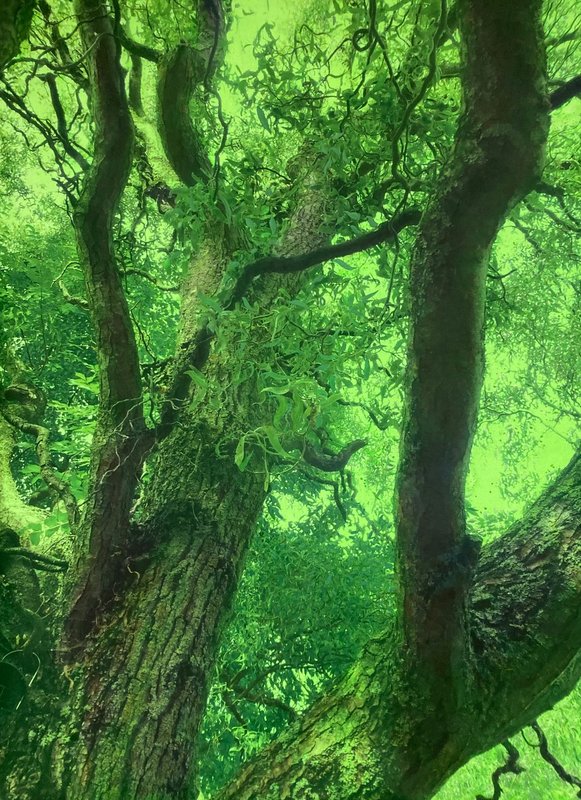 Conférences Couleur, texte contexte conversation : Djos Janssens