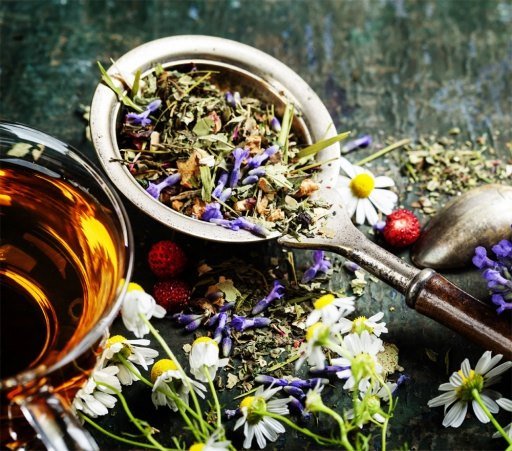 Stages,cours Atelier herboristerie : fabriquez propres tisanes