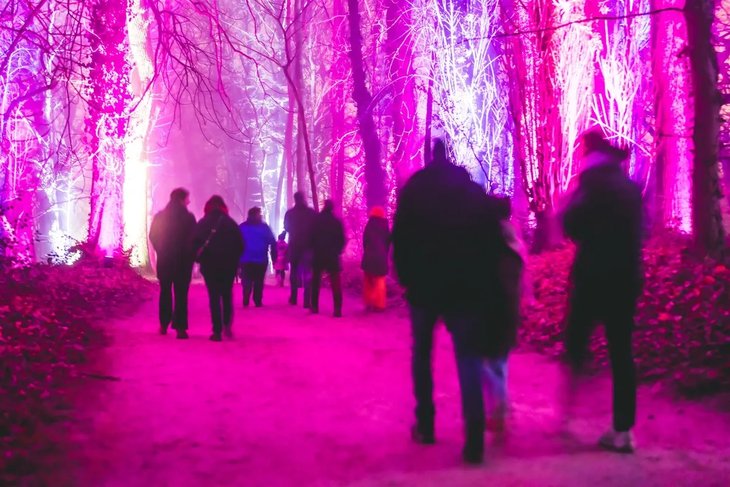 Loisirs Festival Lumières Floridylle