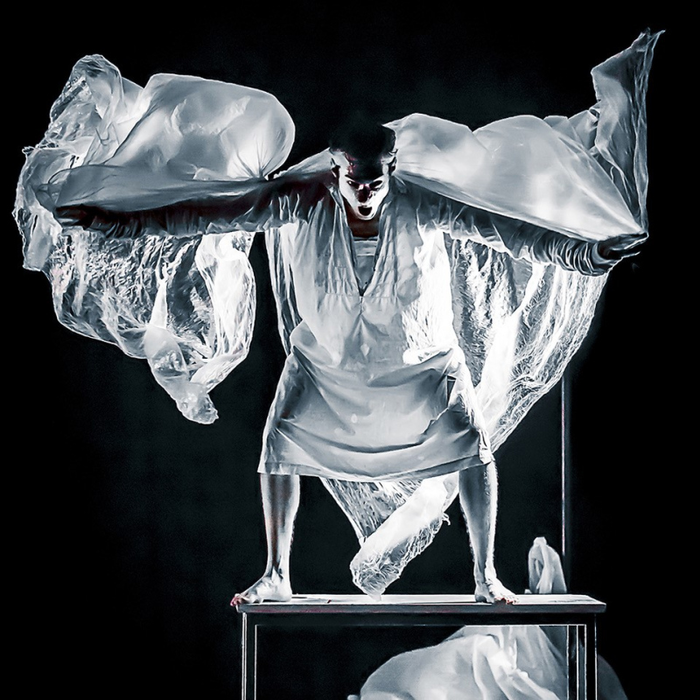 Spectacles Le Delirium Papillon