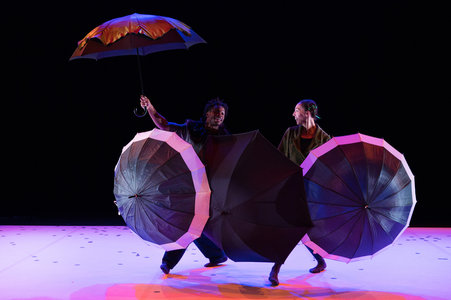 Spectacles Coquilles - Amala Dianor