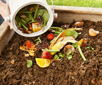 Stages,cours Formation compostage