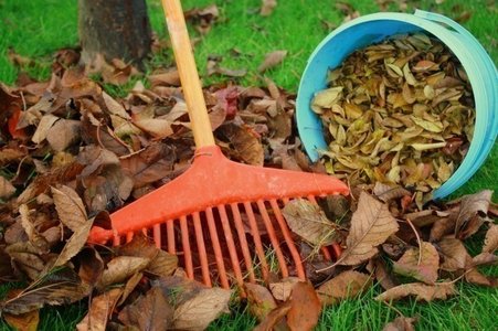 Loisirs Feuilles mortes contre compost