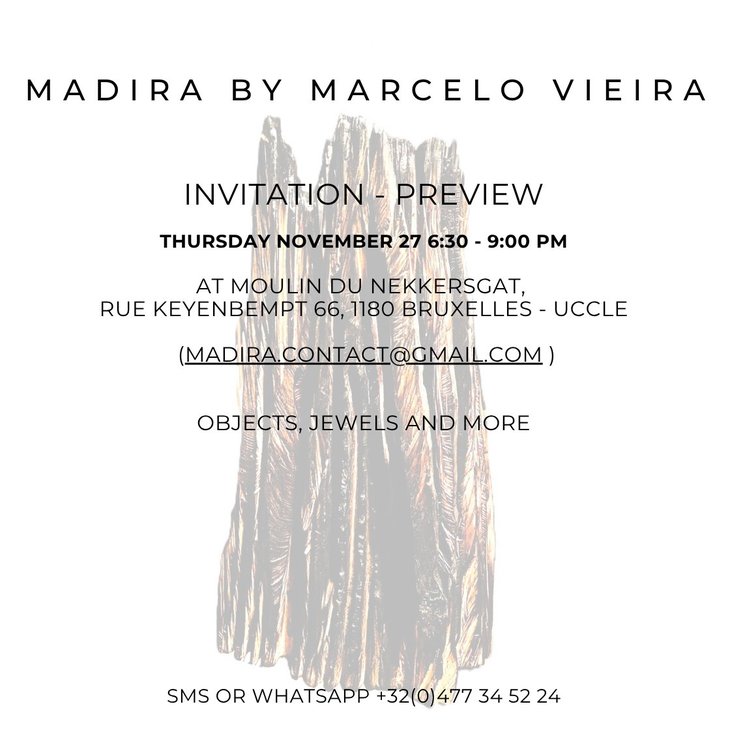 Expositions Madira Marcelo Vieira preview