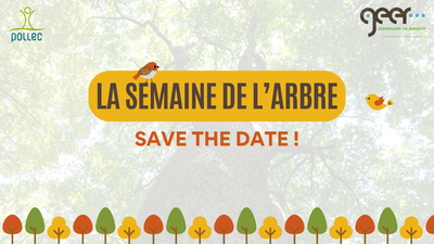 Loisirs Journée l arbre