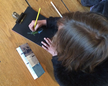 Stages,cours Portrait chinois