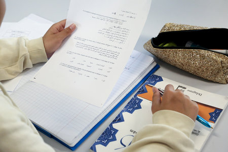 Spectacles Journée la langue arabe