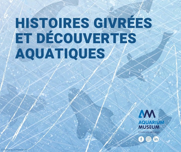 Loisirs Histoires givrées l Aquarium