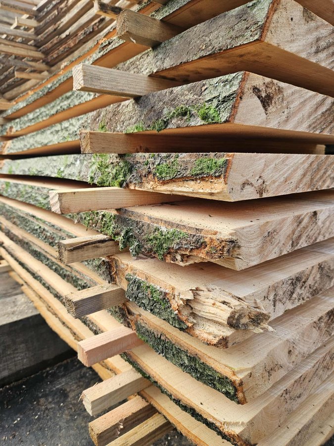 Conférences Le hêtre, matière réenchanter Séance Lundis la forêt du bois