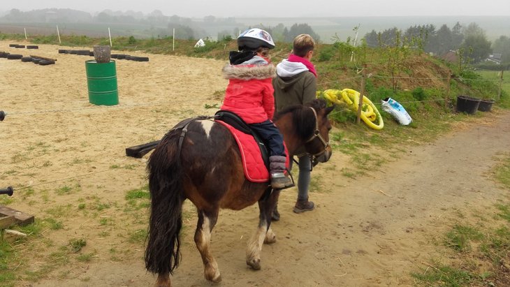 Loisirs Balade poney - équimotricité libre piste couverte