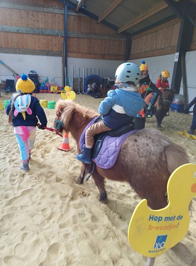 Loisirs Balade poney - équimotricité libre piste couverte