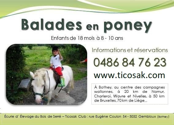 Loisirs Balade poney - équimotricité libre piste couverte