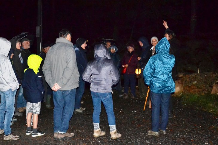 Spectacles Festival Origines