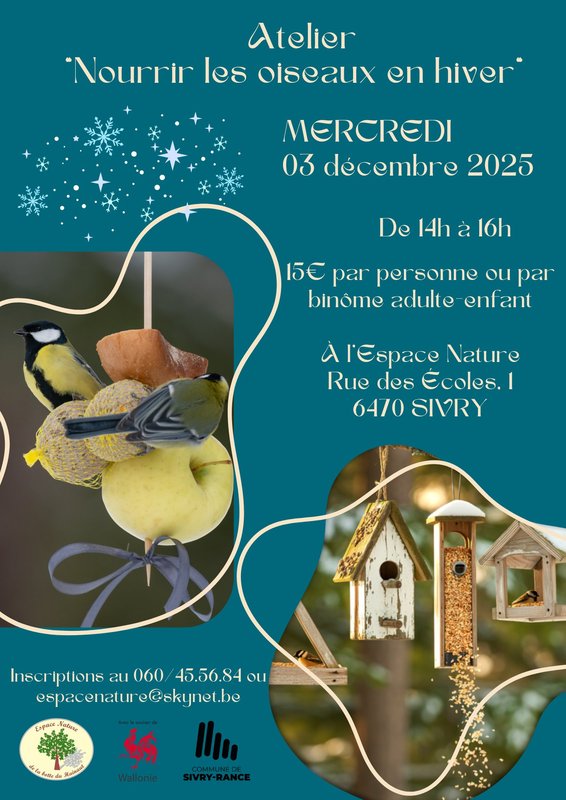 Stages,cours Nourrir oiseaux hiver