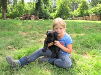 Stages,cours 3 jours stage enfant chien d hiver