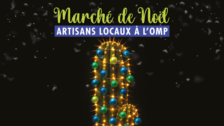 Marchés de Noël Marché Noël d Artisans l Observatoire Monde Plantes