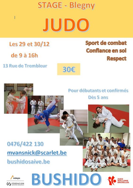 Stages,cours Stage judo