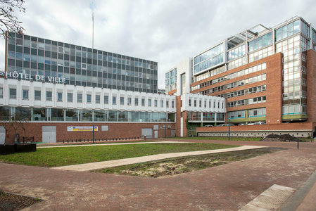 Loisirs Plantation participative : Place Gogh