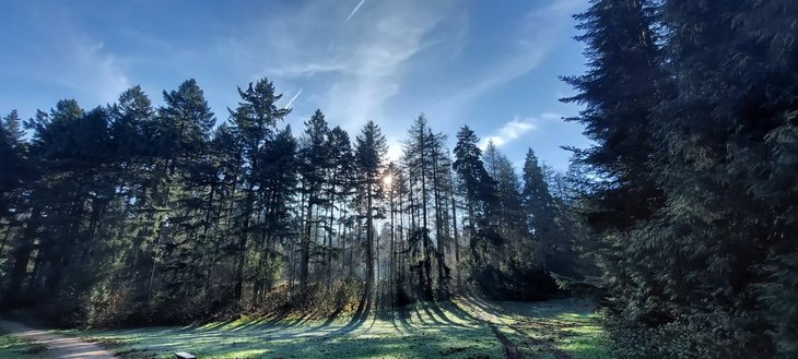 Loisirs Arboretum Tervuren