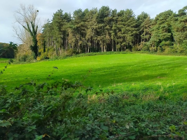 Loisirs Balade autour Louvranges