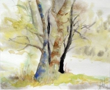 Stages,cours Initiation l aquarelle