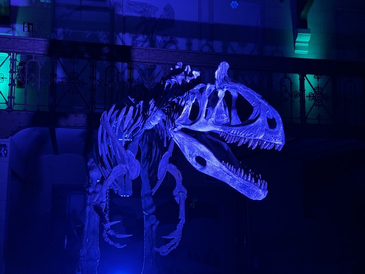 Expositions Family Night