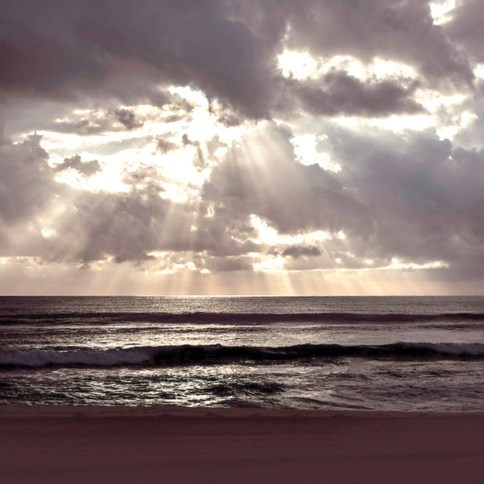 Spectacles Iphigénie, Agamemnon, Électre