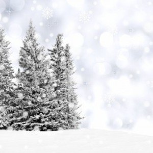 Loisirs Visite générale Parc