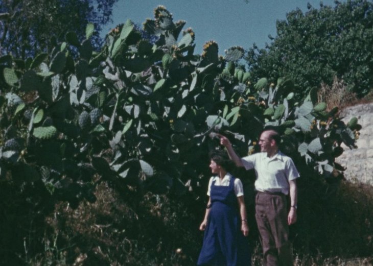 Spectacles The Colonial Film Gaze Palestinian Counternarratives