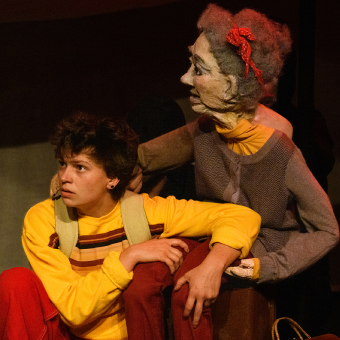 Spectacles J’ai enlevé Mamie