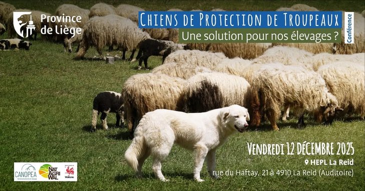 Conférences Conférence ciné-débat  Loup chiens protection troupeaux 