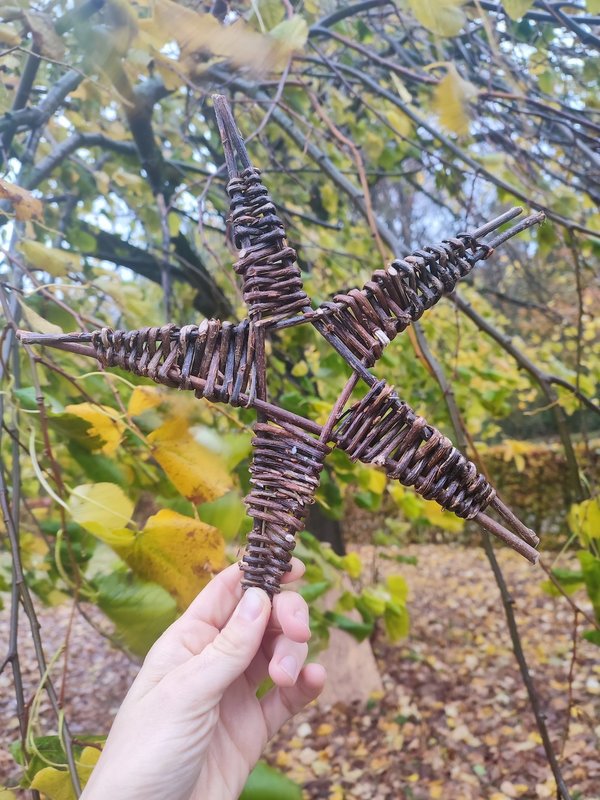 Stages,cours Stage Forêt & Vannerie Sauvage