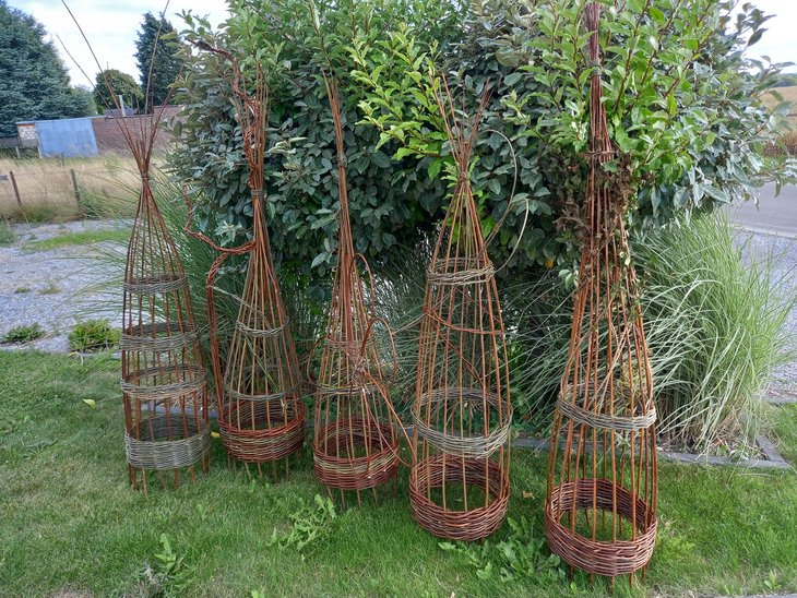 Stages,cours L osier jardin