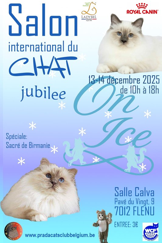 Expositions Le Salon International Chat Édition Jubilée