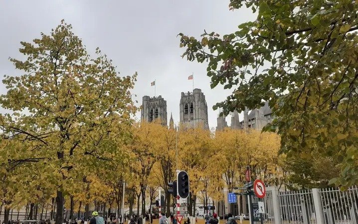 Concerts Période l Avent : festival chorales